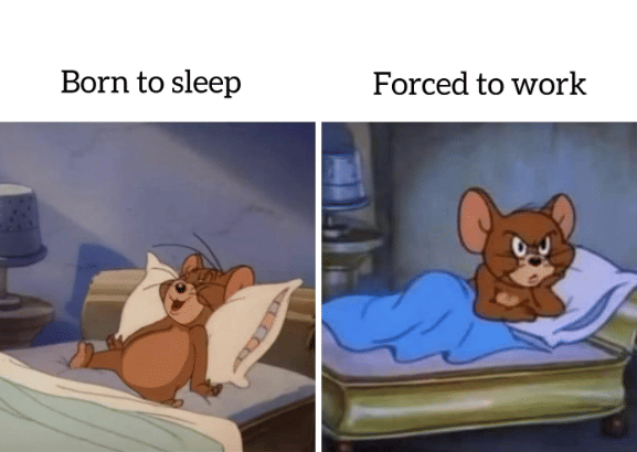 meme Tom and Jerry tentang hobi tidur