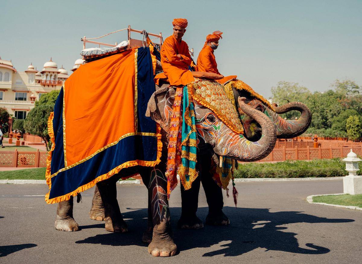 ilustrasi festival gajah.jpg