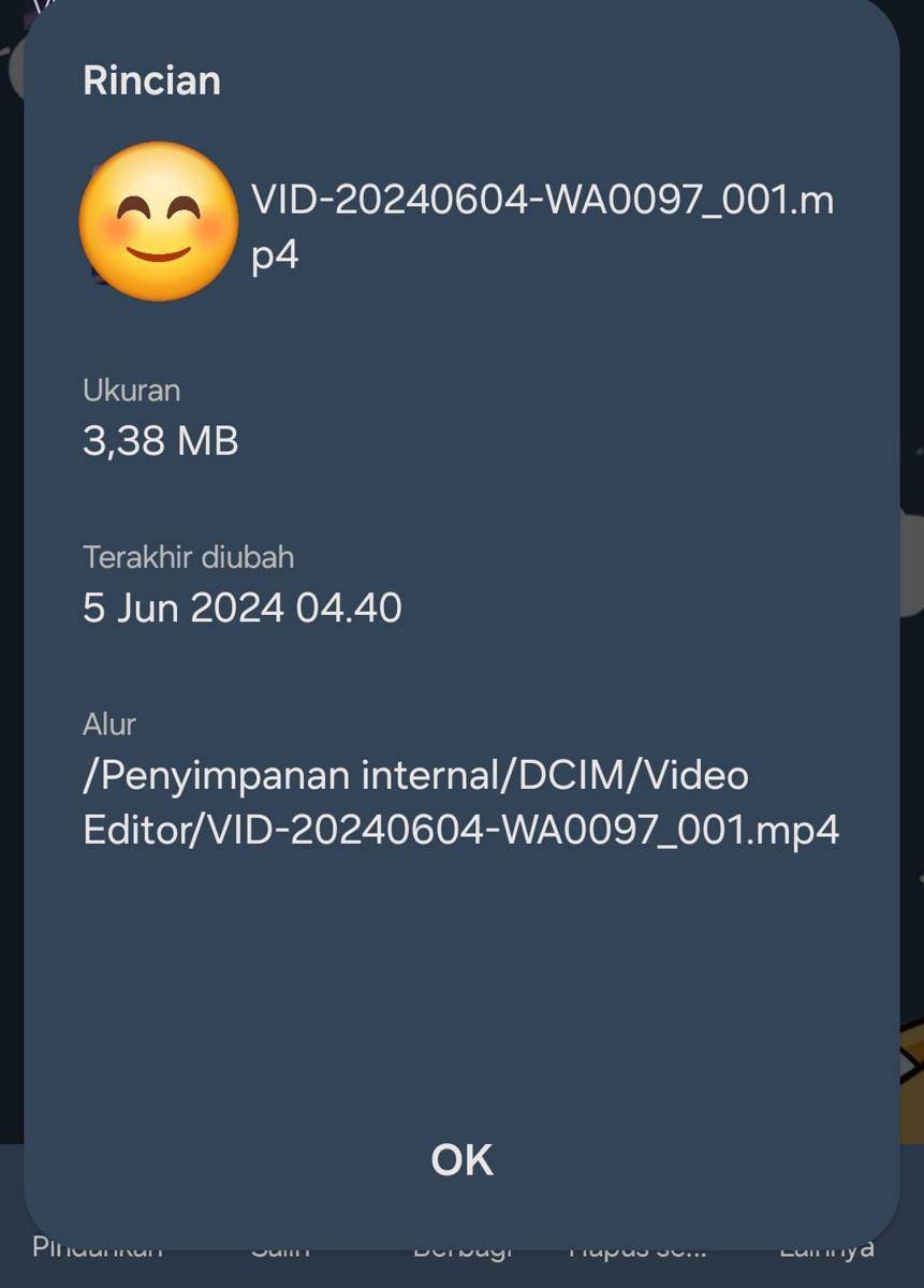 contoh format file video 