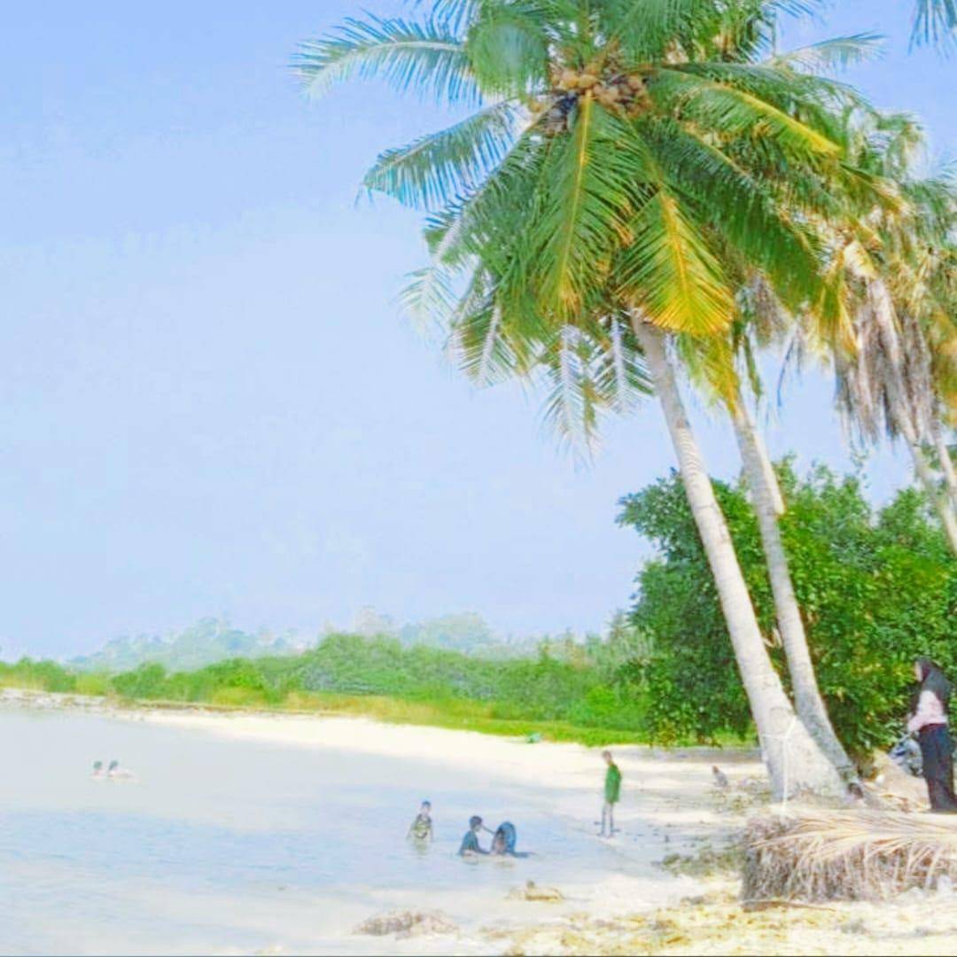Pantai Kelapa Kunjir, Kab. Pesawaran, Lampung (Dok.Google Maps/Wirrestiida)