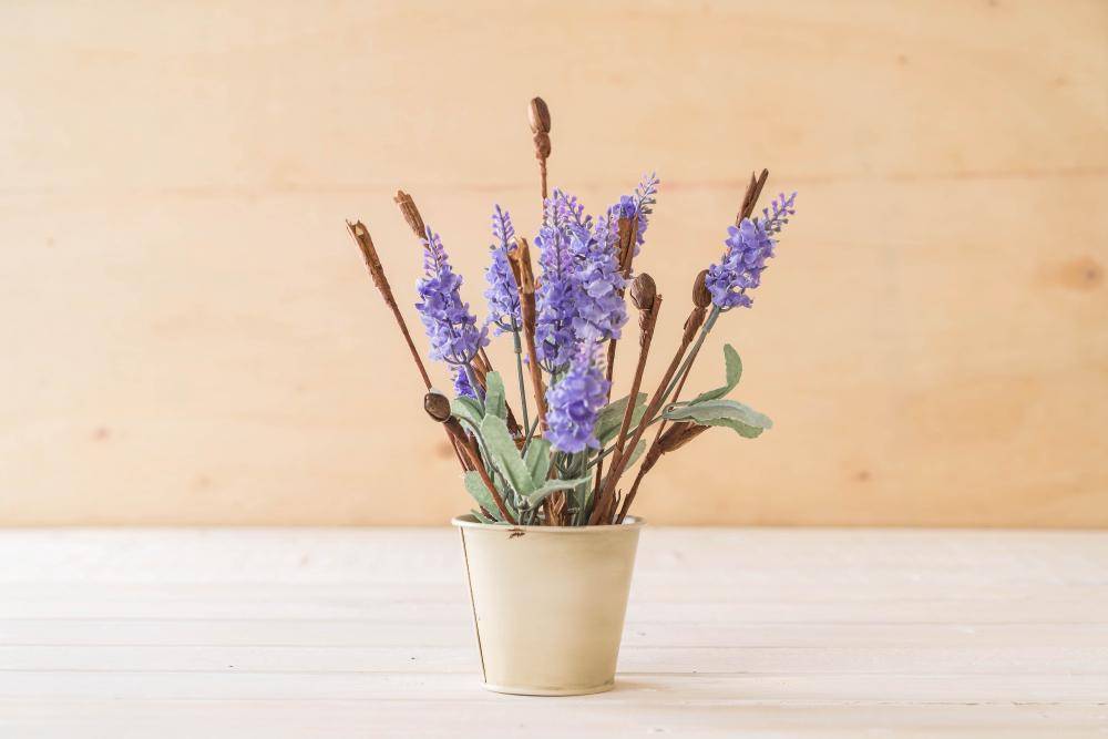 Tanaman hias lavender (freepik.com/Topntp26)