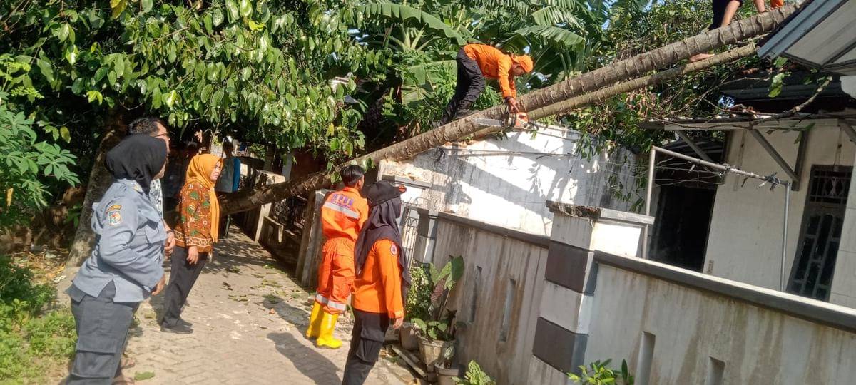 BPBD saat memotong pohon yang menimpah rumah warga di Bandar Lampung. (IDN Times/BPBD Balam)