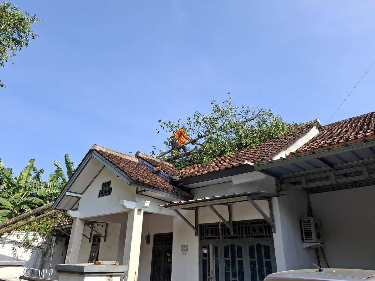 BPBD saat memotong pohon yang menimpah rumah warga di Bandar Lampung. (IDN Times/BPBD Balam)