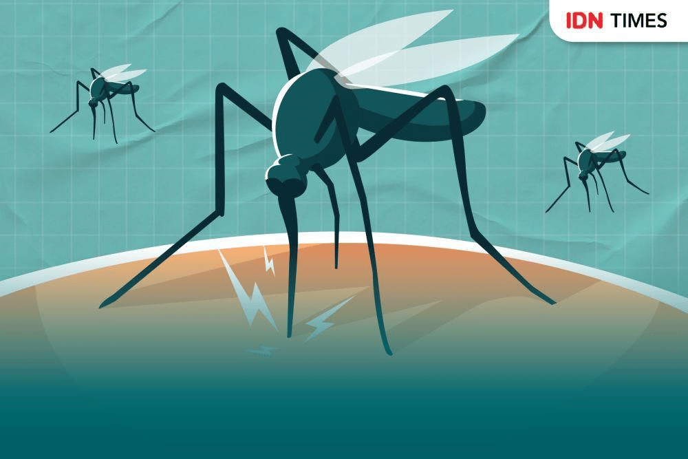 Nyamuk pembawa parasit malaria.