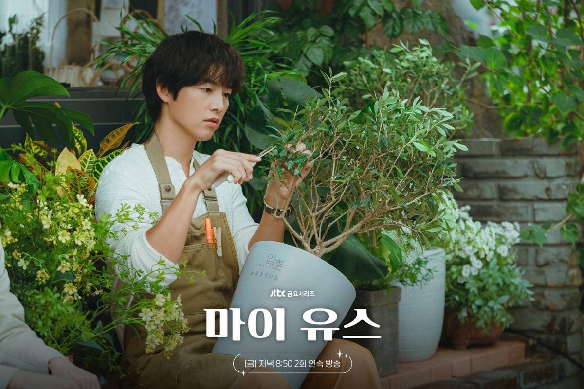 still cut drama My Youth