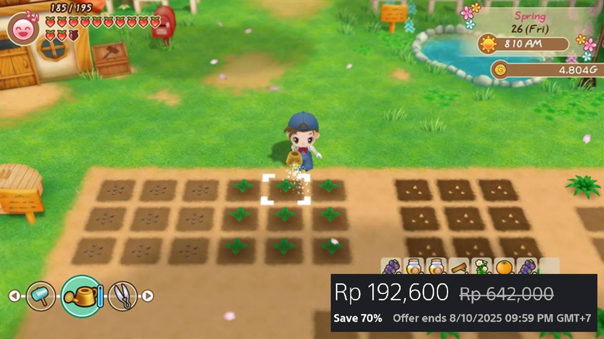 Story of Seasons: Friends of Mineral Town