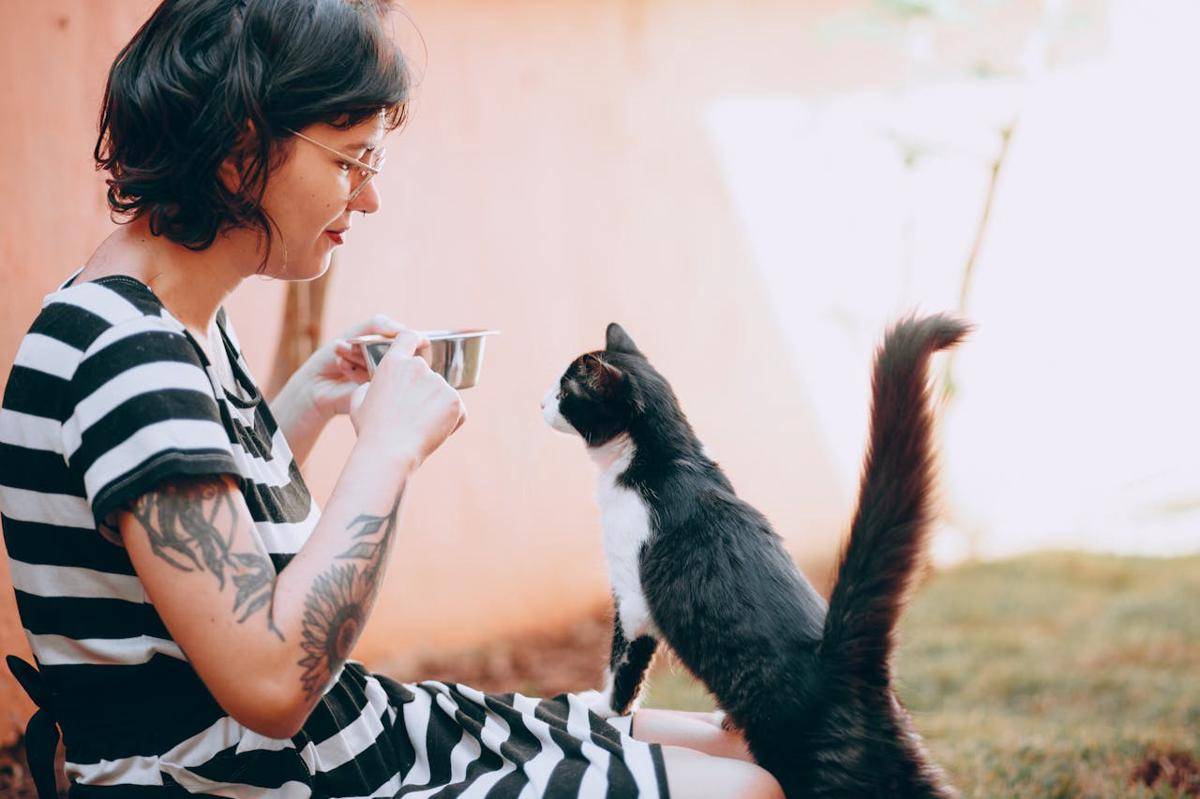 ilustrasi kucing mengibaskan ekornya (pexels.com/Helena Lopes)