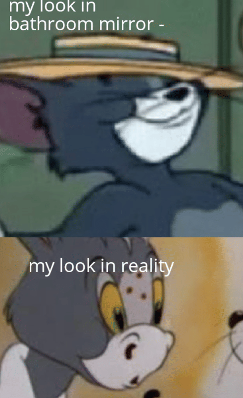 meme Tom and Jerry tentang kamar mandi