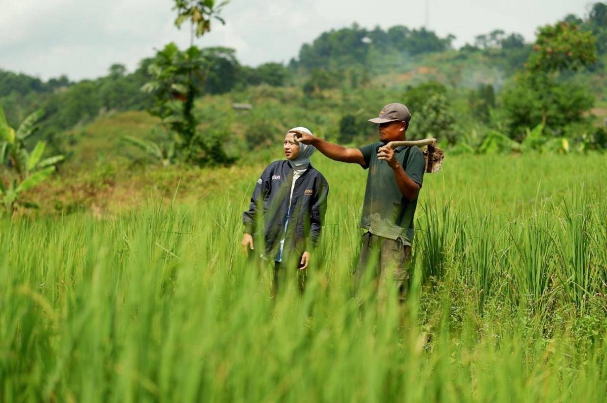 Ilustrasi petani