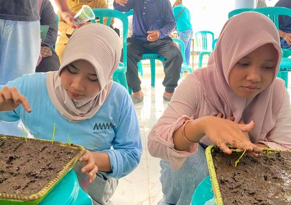 Petani di Kabupaten Sumbawa Barat belajar tentang pertanian organik. (Dok.AMMAN)