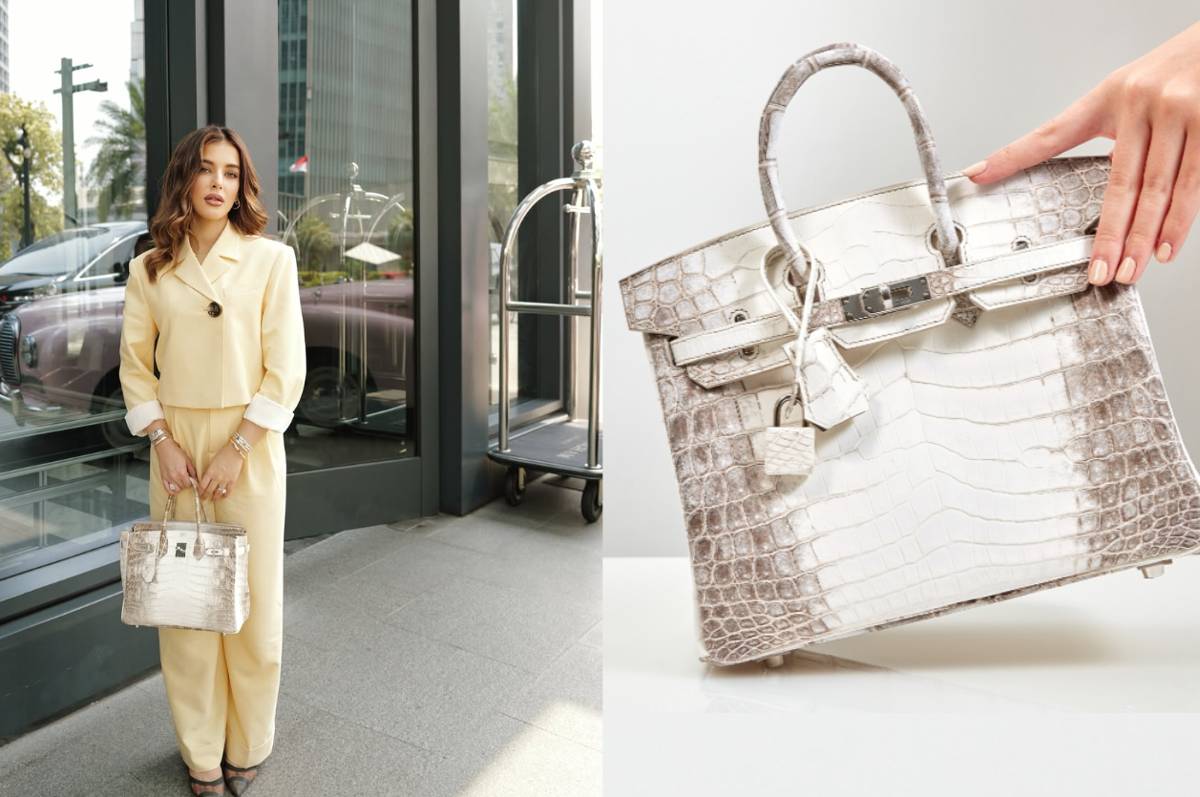 Tas Hermes Diamond Himalaya Birkin 