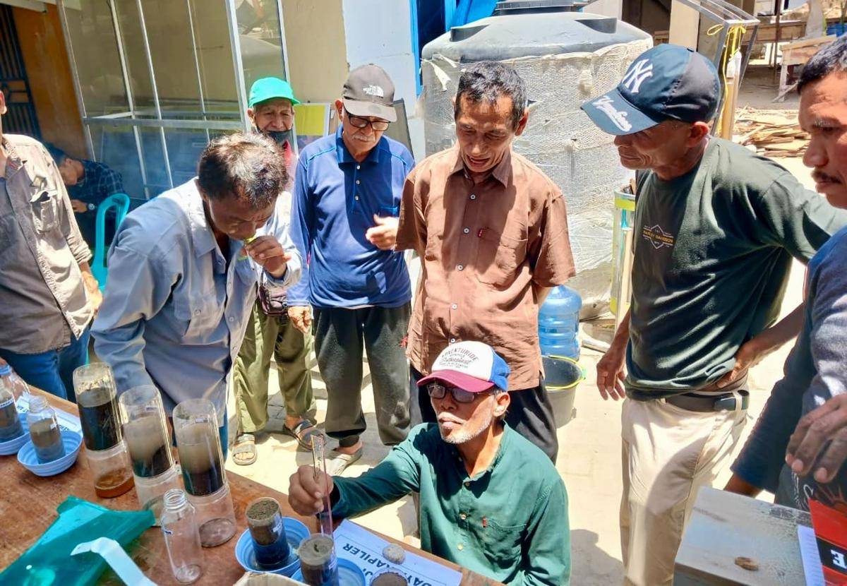 Petani di Kabupaten Sumbawa Barat belajar tentang pertanian organik. (Dok.AMMAN)