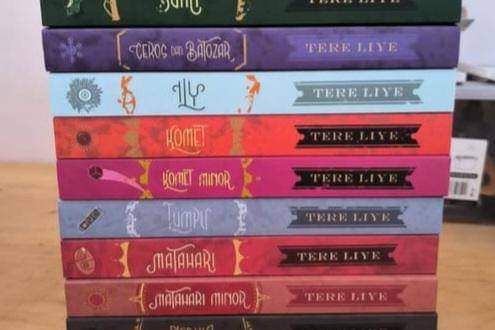 Tumpukan Buku Serial Bumi Tere Liye