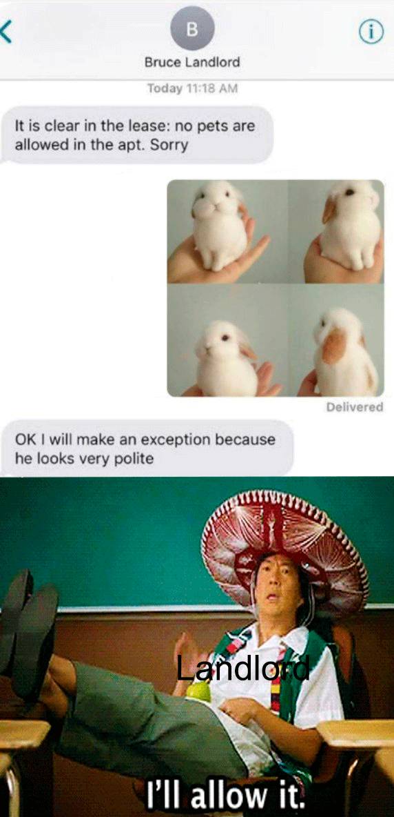 meme pemilik kosan 