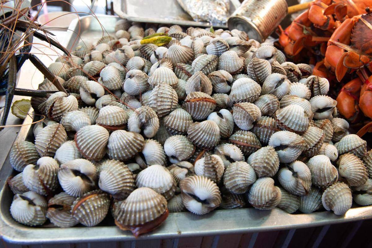 Kerang darah (vecteezy.com/Wirakorn Deelert)