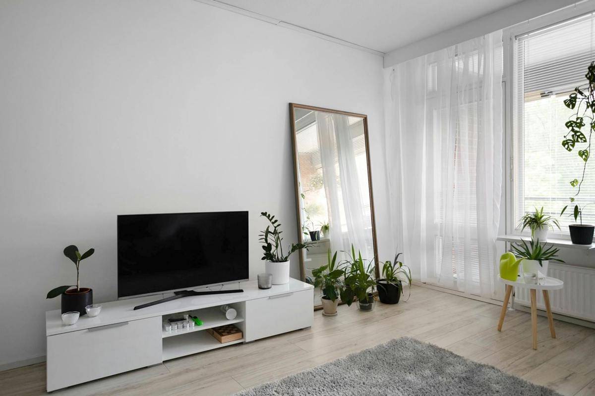 ilustrasi tanaman hias dekat cermin (pexels.com/Alex Tyson)