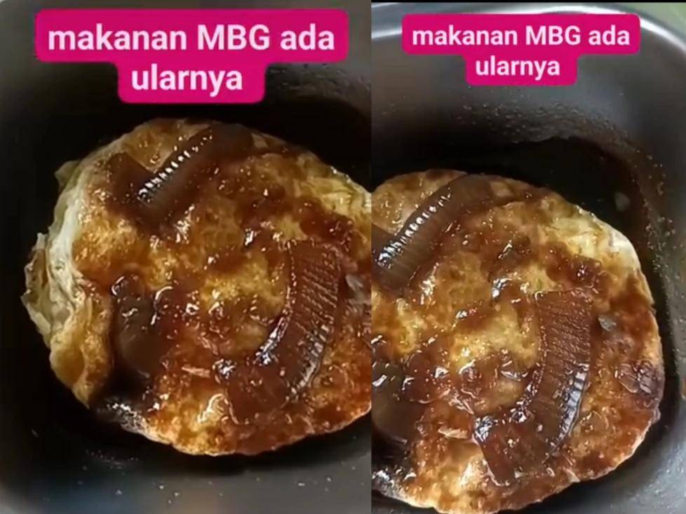 Penampakan menu makanan program MBG berbelatung di Kabupaten Tanggamus. 