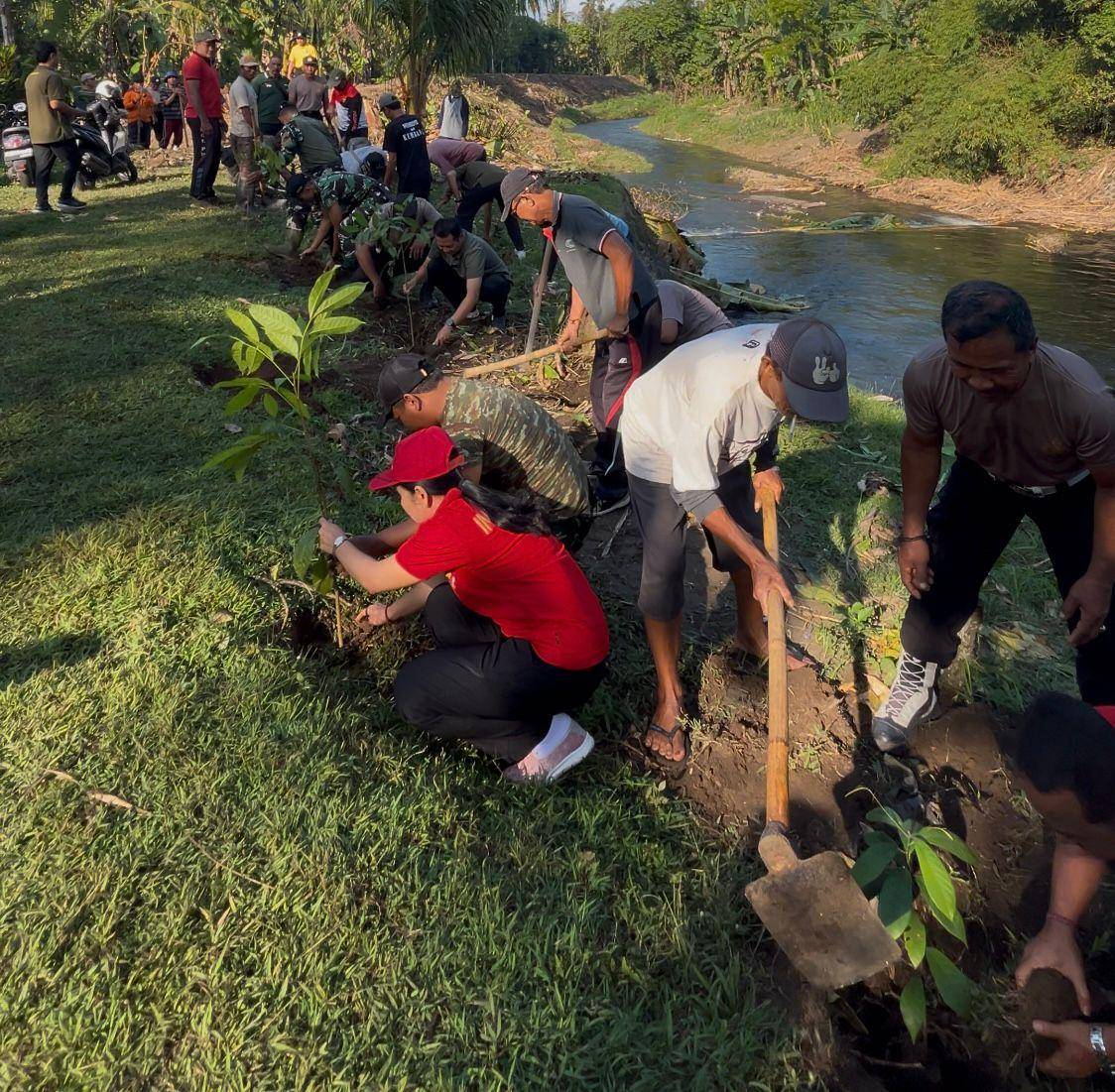 Sebanyak 300 pohon dari jenis mahoni dan pala ditanam di kawasan DAM Mendoyo Dauh Tukad, Kecamatan Mendoyo, Kabupaten Jembrana pada Jumat (26/9/2025).