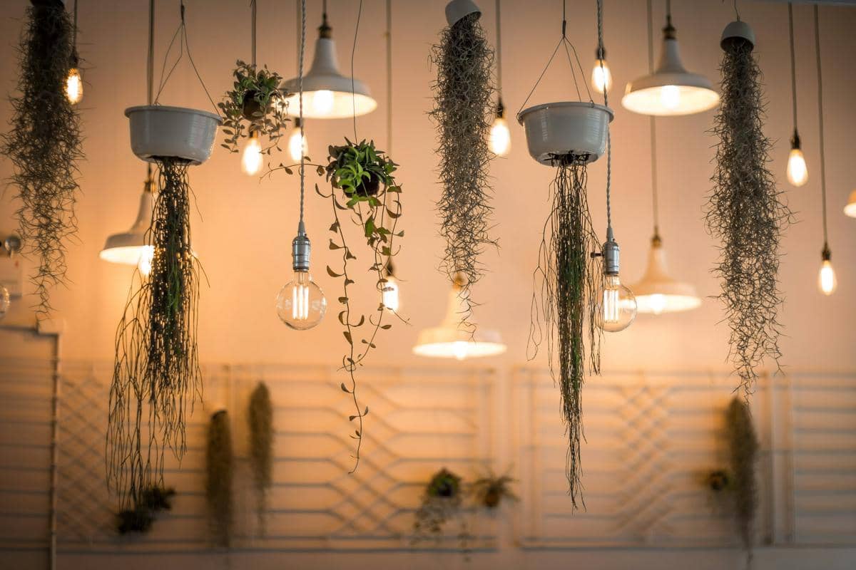 ilustrasi lighting rumah (unsplash.com/Patrick Schneider)