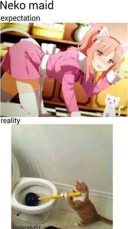 meme kocak maid anime
