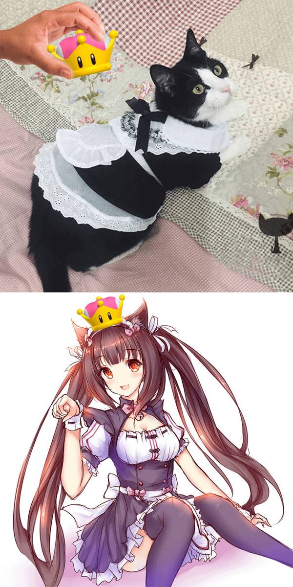 meme kocak maid anime