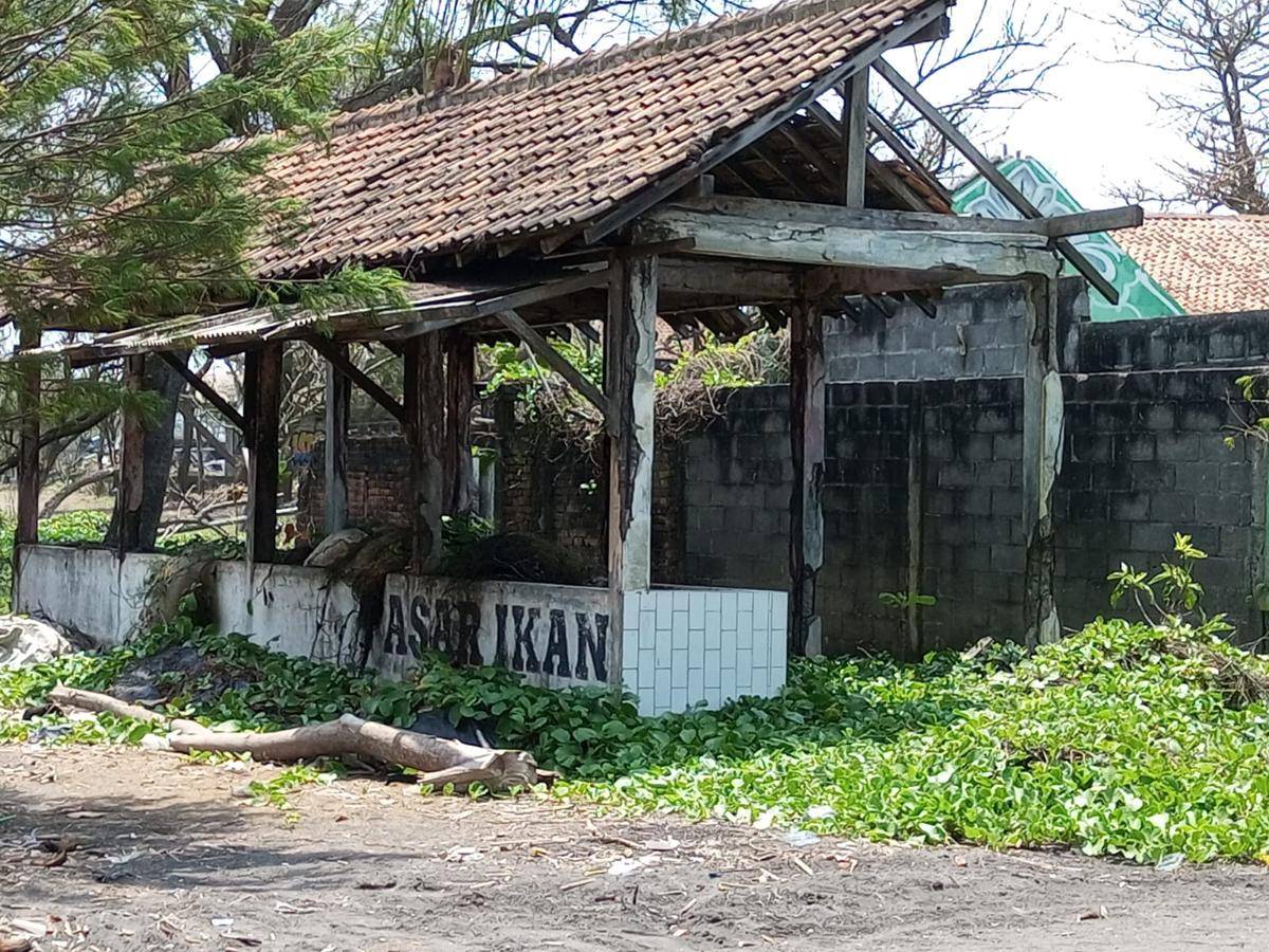 Alam Tak Bisa Dilawan, Pantai Kuwaru Menjadi Pantai Mati