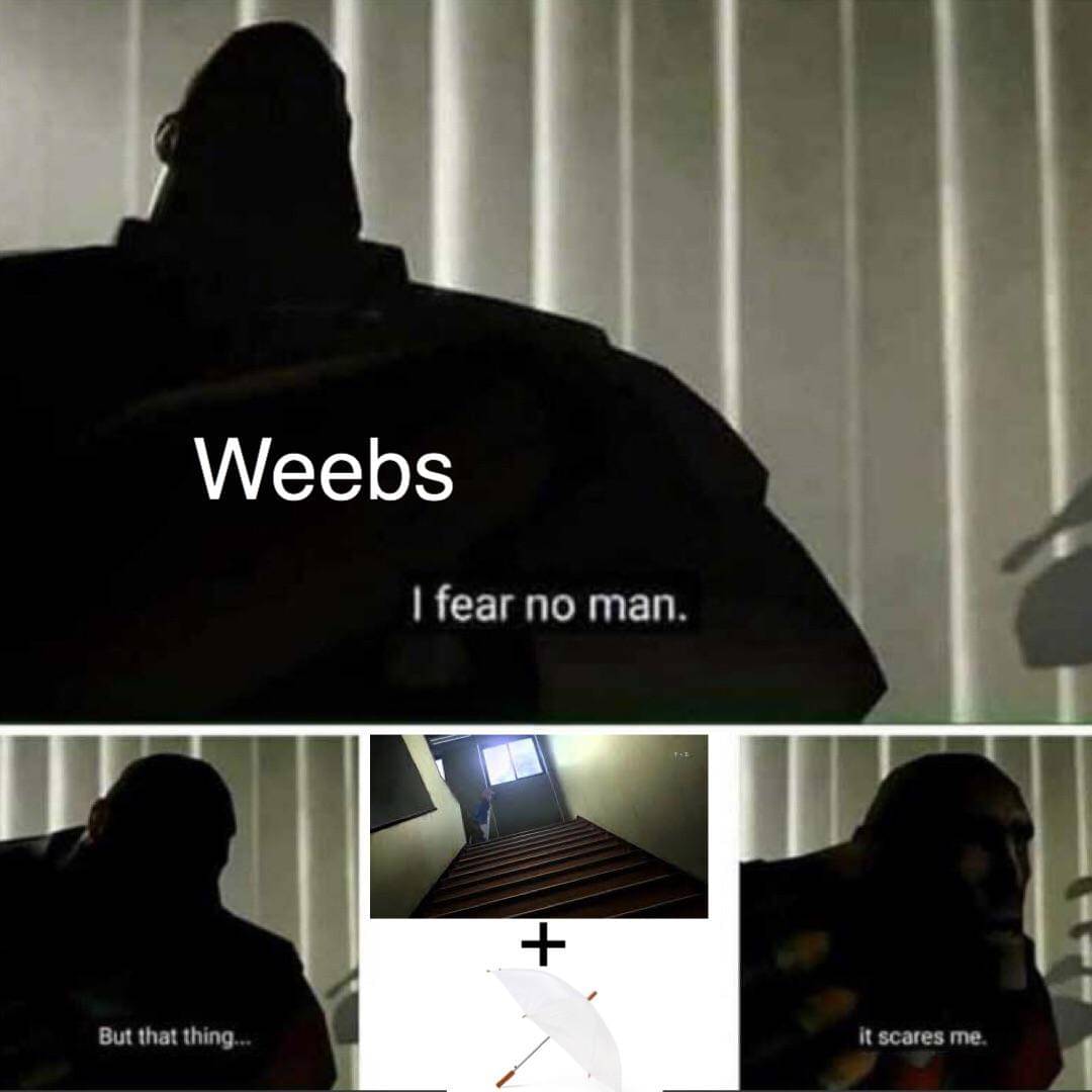 meme anime tentang payung