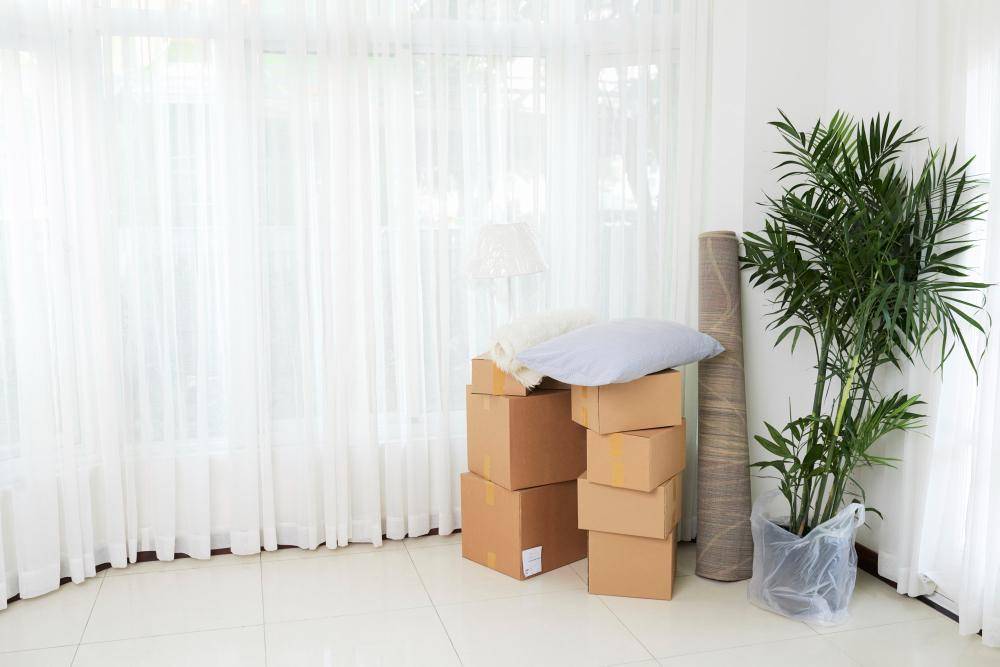 kardus di kamar (freepik.com/pressfoto)