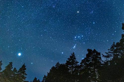 Rasi Orion