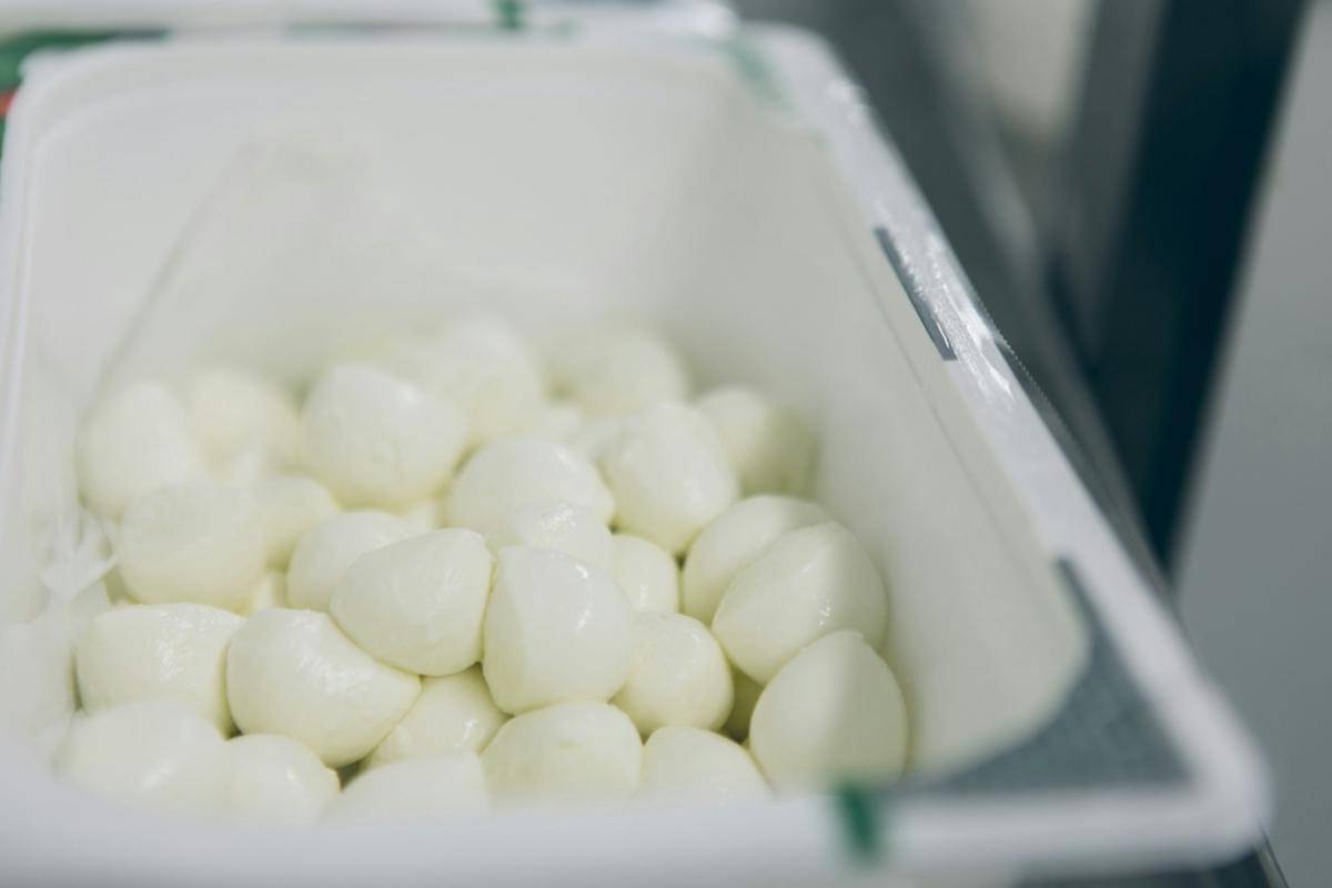 ilustrasi mozzarella (unsplash.com/laura novara)