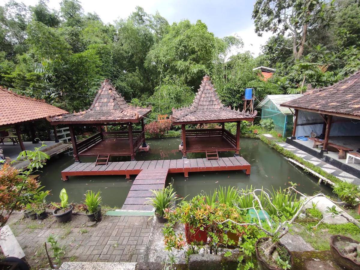 Indahnya Ekowisata Nologaten, Dulunya Tempat Pembuangan Sampah