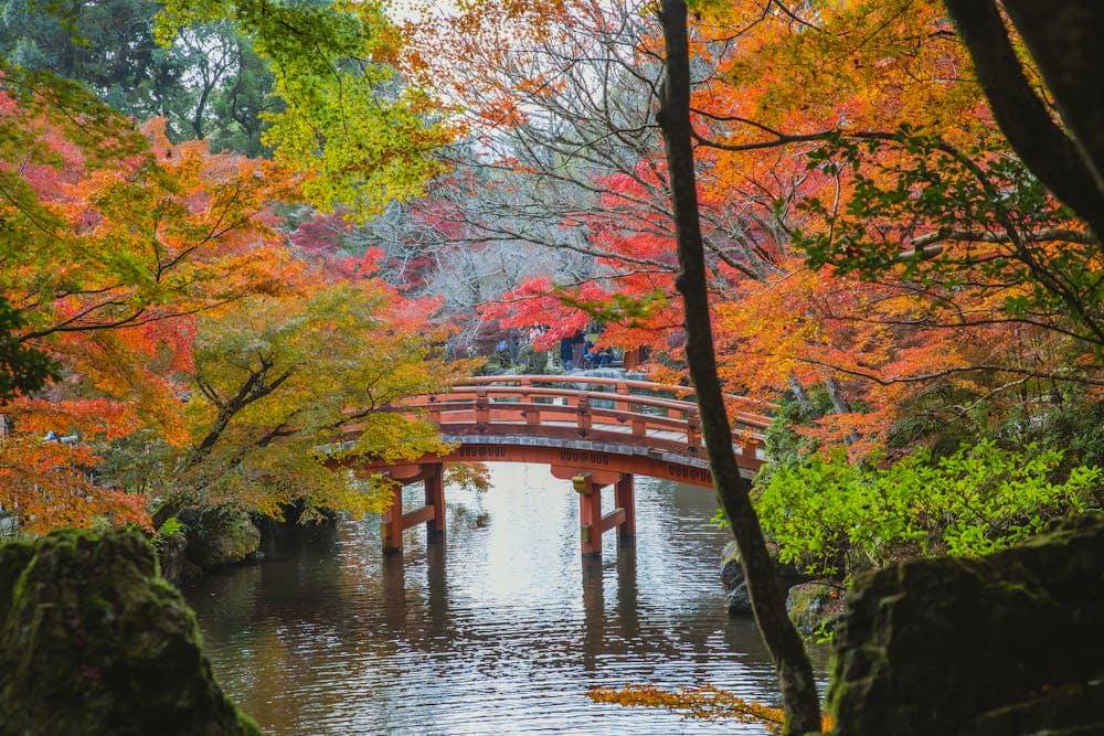 ilustrasi musim semi di Jepang 