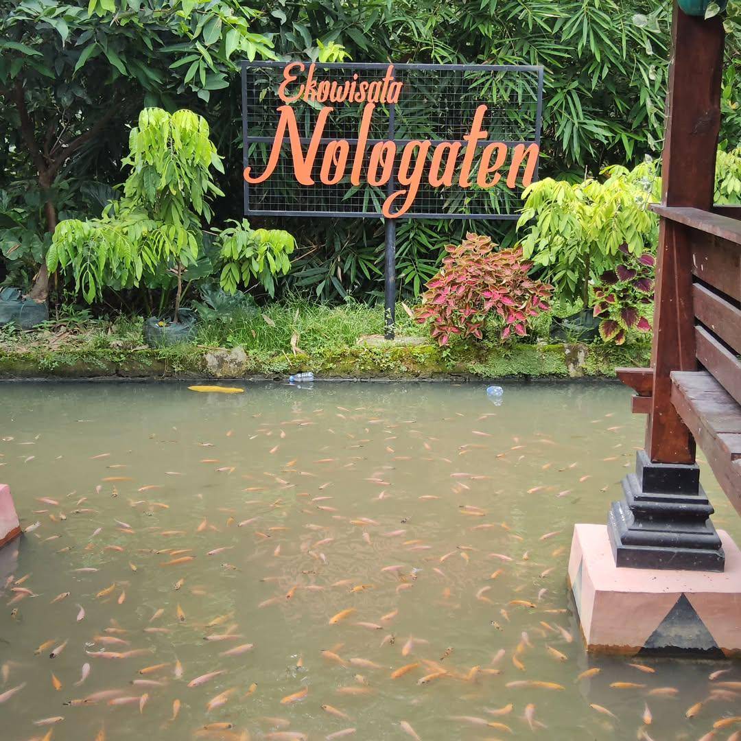 Indahnya Ekowisata Nologaten, Dulunya Tempat Pembuangan Sampah