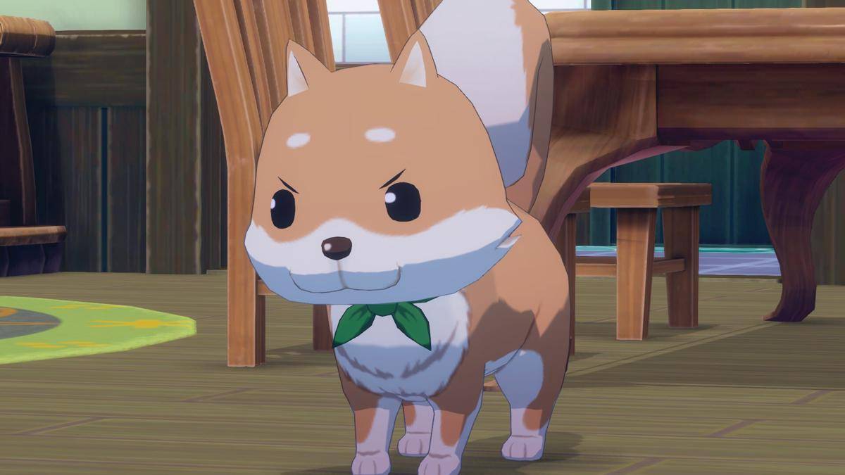 ilustrasi Story of Seasons: Grand Bazaar 