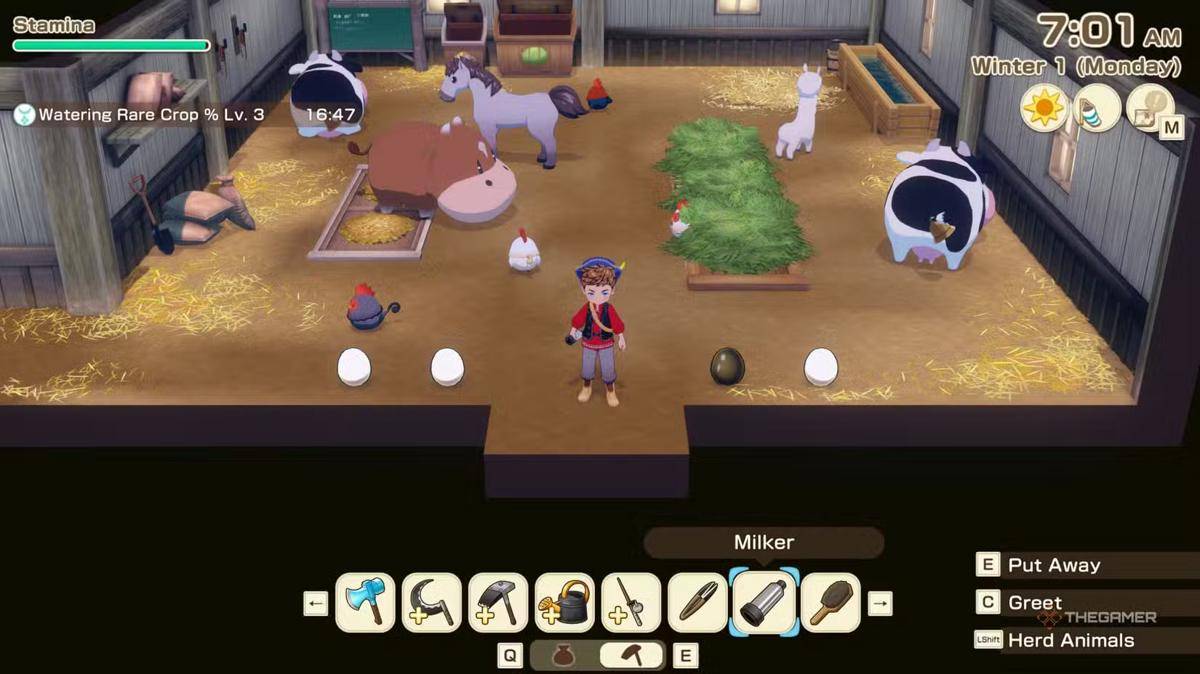 ilustrasi Story of Seasons: Grand Bazaar
