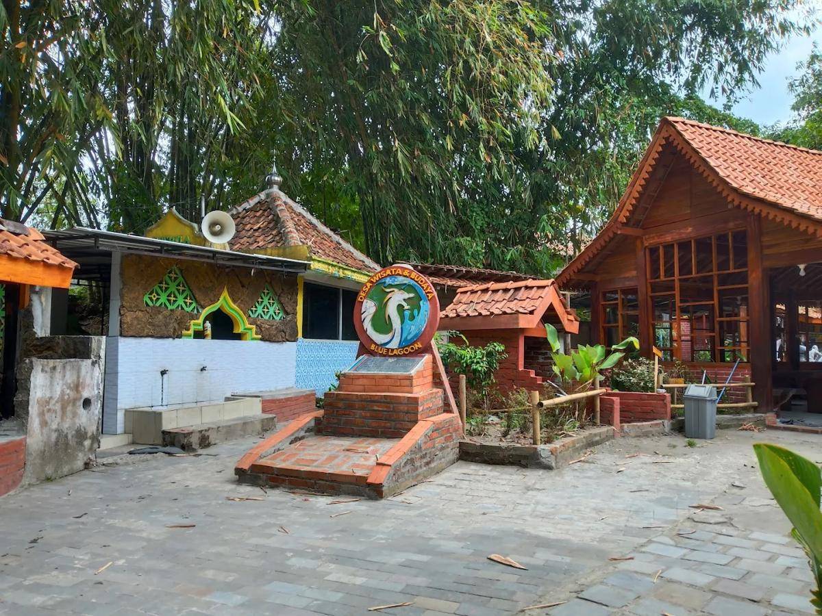 Pesona Blue Lagoon Jogja, Kolam Alami di Tengah Desa yang Asri