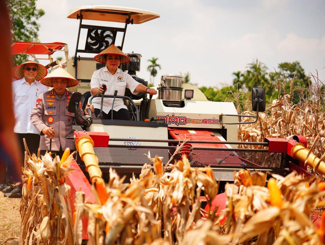 Panen Raya Kuartal III di Oku Timur, Sumatera Selatan, Sabtu (27/9/2025). (Dok. Humas Polri)