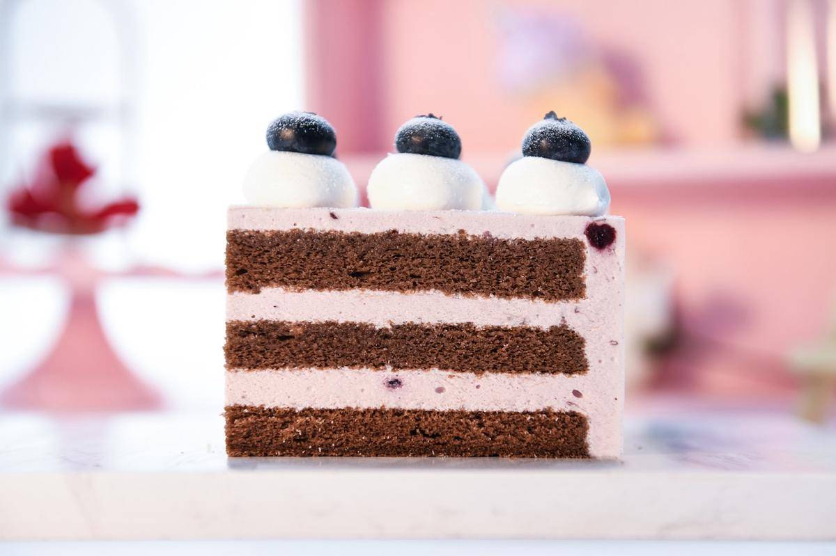 ilustrasi blueberry yoghurt cake gluten free