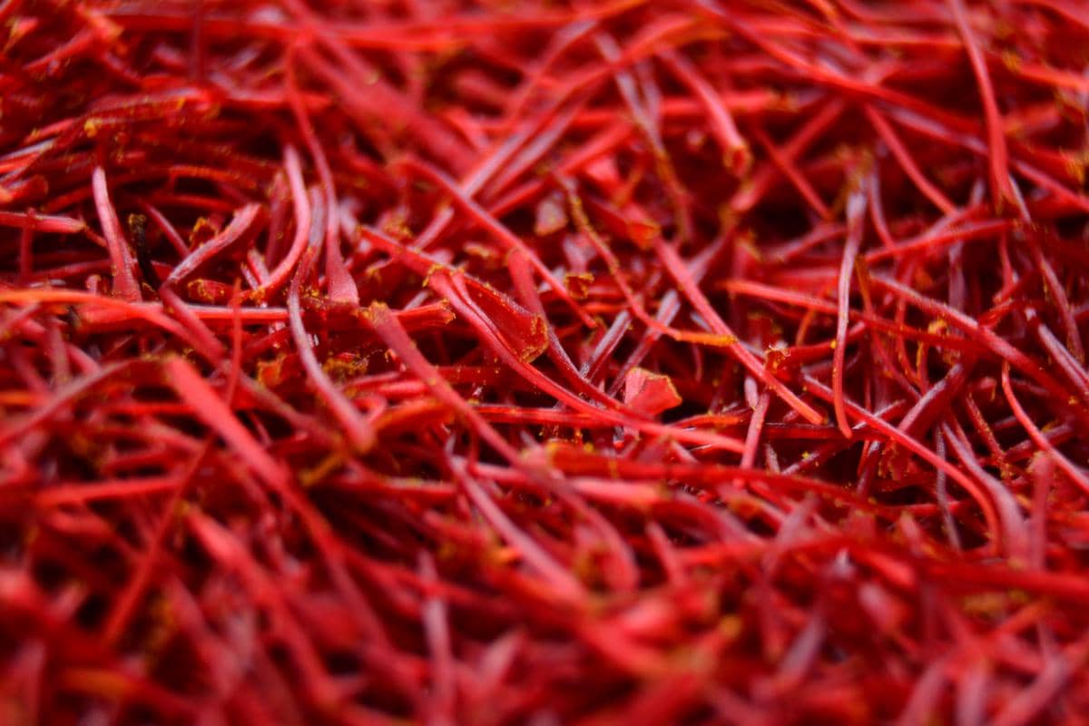 ilustrasi saffron (unsplash.com/Mohammad Amiri)