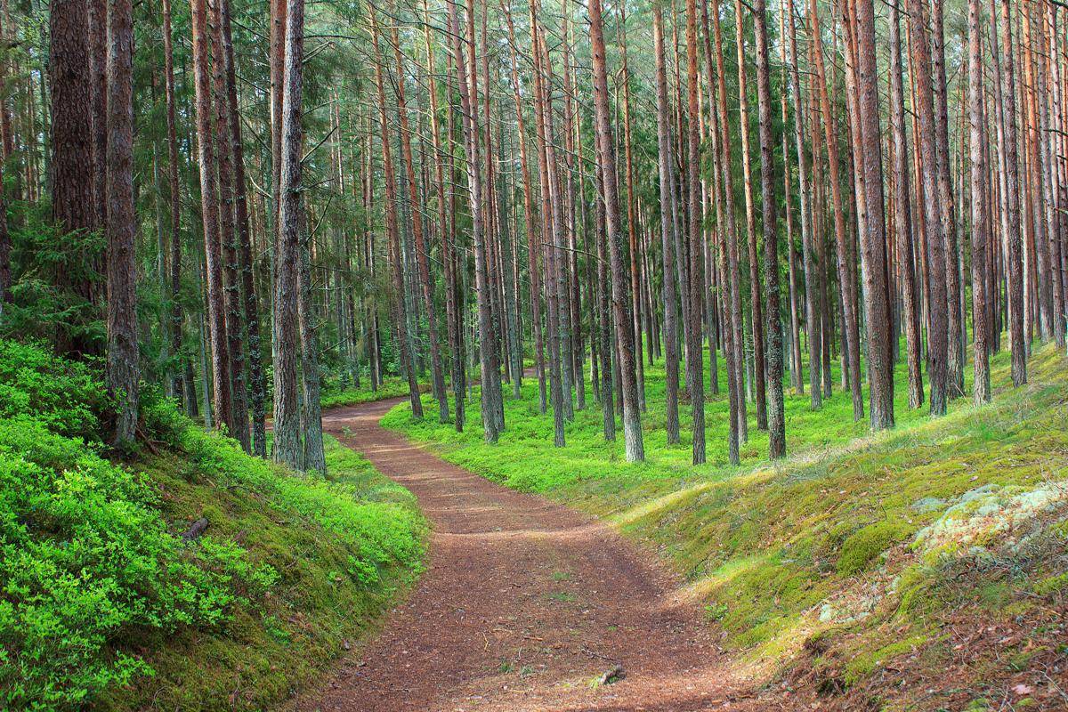 Estonia