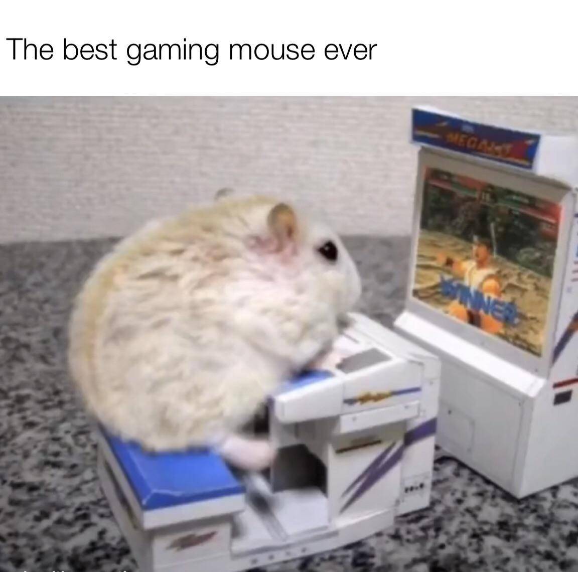 meme kocak PC gaming 