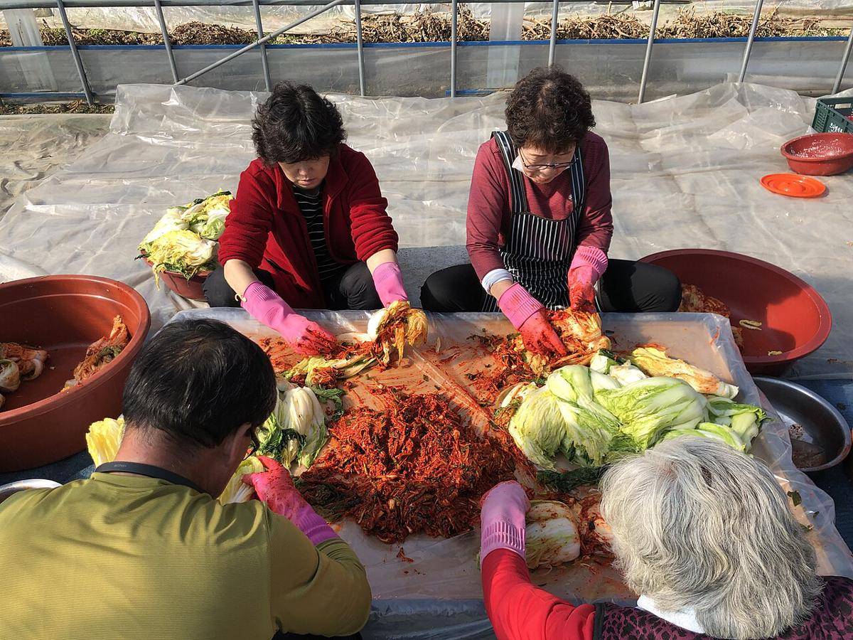 ilustrasi membuat kimchi (commons.wikimedia.org/Anattadairy)