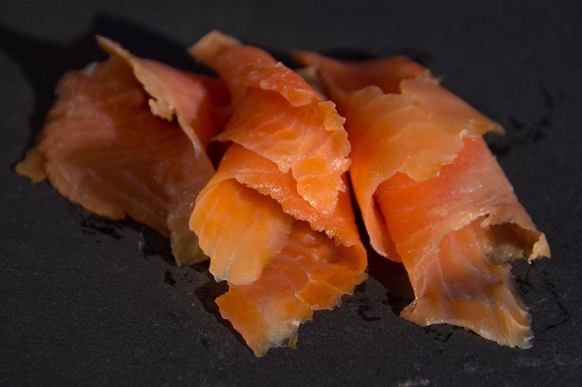 ilustrasi salmon