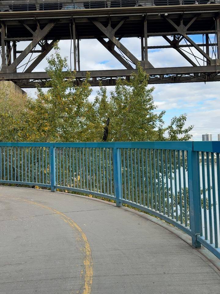 potret Kota Edmonton
