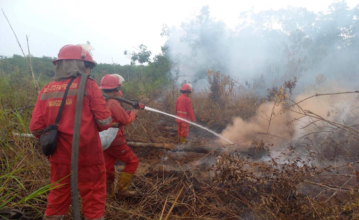 Kebakaran lahan di Desa Deling, Pangkalan Lampam, OKI (Dok: Manggala Agni)