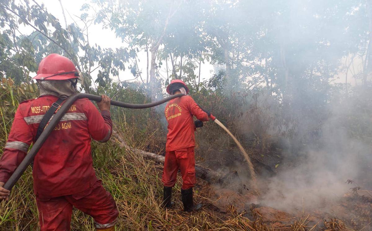 Kebakaran lahan di Desa Deling, Pangkalan Lampam, OKI (Dok: Manggala Agni)