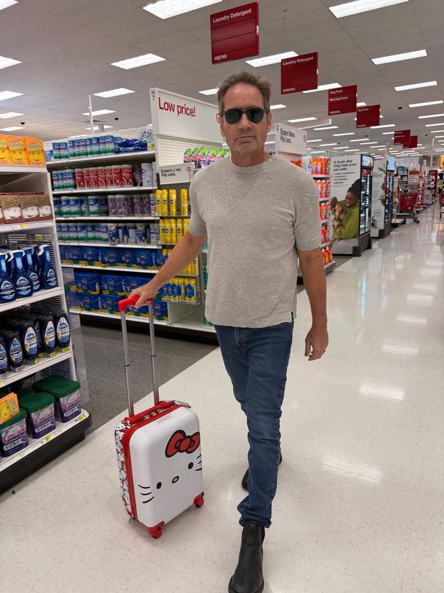 Potret David Duchovny