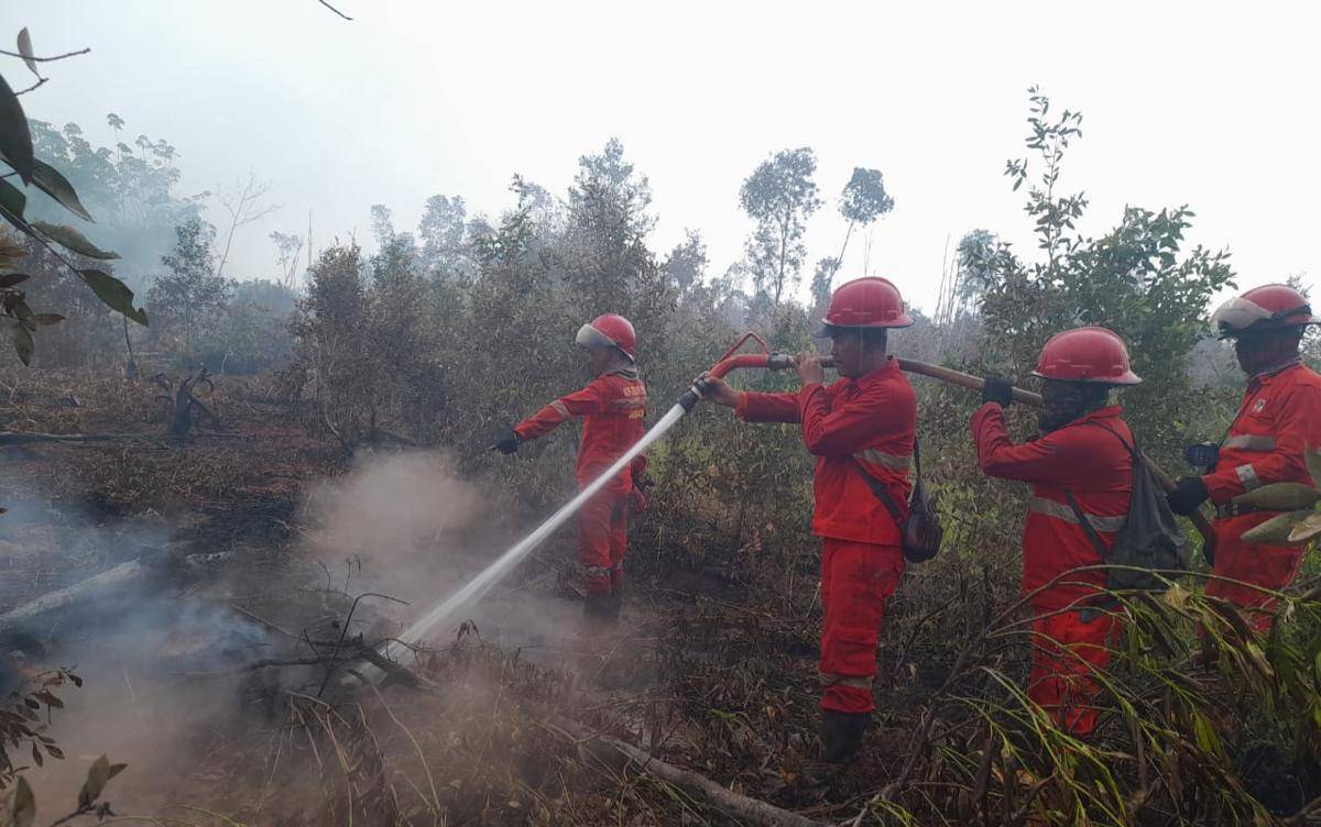 Kebakaran lahan di Desa Deling, Pangkalan Lampam, OKI (Dok: Manggala Agni)