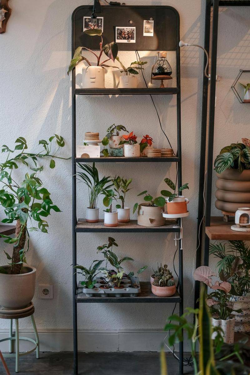 Tanaman vertikal (pexels.com/Esra Afşar)
