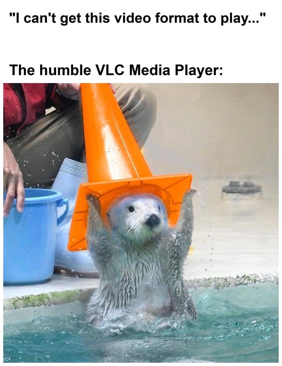 meme VLC 